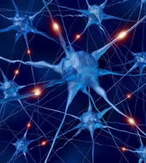 2013最 酷 科技產(chǎn)品 無人機(jī)送貨入列