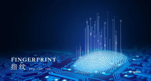 33,000英尺丨科技讓?xiě)敉飧? class=